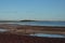 Low Tide Driftwood