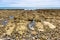 Low tide at the English Channel