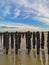 Low tide exposing rows of mussels cultivated on robes attached to poles in the bay of Wissant at Cap Gris-Nez, Pas-de-Calais in