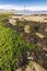 Low tide landscape