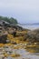 Low tide in maine