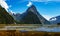 Low Tide in Milford Sound in New Zealand