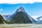 Low Tide in Milford Sound in New Zealand