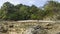 Low Tide at Playa Manuel Antonio