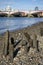 Low tide River Thames and London city skyline including St Paul\'