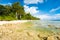 Low Tide Rocks Pristine Untouched Beach Forest