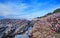 Low tide sea life, Oregon coastline