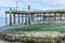 Low Tide Shoreline Pier 4