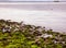 Low Tide at Silver Sands State Park in Milford