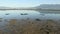 Low Tide, Spanish Banks, Vancouver dolly shot