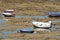 Low tide time on ocean coast of Cadiz, shallow water with fishing boats and seagulls, Andalusia, Spain