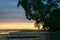 Low tide view across Tauranga Harbour at sunrise