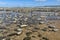 Low Tide View - Northam Beach and View Towards the Taw-Torridge Estuary, With Saunton Sands and Baggy Point.