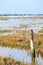 Low tide at the wadden island