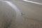 During low tide the water in the river Matla falls so low that people walk to the other shore in Canning Town, India