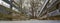 A Low View of the Boardwalk at the Peaks of Otter, Virginia, USA