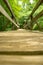 A Low View of a Hiker Footbridge along the Appalachian Trail