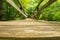 A Low View of a Hiker Footbridge along the Appalachian Trail - 2