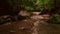 Low view over a beautiful scenic slow flowing river Black Ernz, Schiessentmpel waterfall