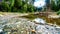 Low water levels in the Coldwater River Salmon Habitat of Brookmere in BC, Canada