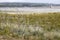 Low water levels in Theewaterskloof dam, Western Cape