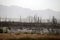 Low water levels in Theewaterskloof dam, Western Cape