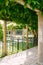 Low wrought-iron fence between the columns in the patio entwined with greenery