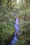 Lower Dolgoch Falls,Aberdovey,Gwynedd, Wales