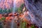 Lower Emerald Pool Waterfall Utah