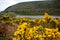 Lower Lake, Glendalough, Ireland