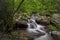 The lower level of Anna Ruby Falls