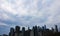 Lower Manhattan skyline view from brooklyn heights promenade with cloudy weather and flying birds