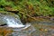 The Lower McDowell Creek, Oregon