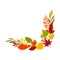 Lower right right corner of the autumn leaves. Vector illustration on a white background.