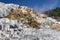 Lower Terrace Mammoth Hot Springs, Yellowstone