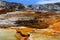 Lower Terraces Area, Mammoth Hot Springs, in Yellowstone National Park Wyoming,
