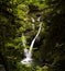 Lower Wolf creek waterfall located outside of Glide, OR.