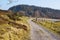 Lowland - Rebild National Park. A dirt road through lowland heath landscape Rebild National Park, Jutland, Denmark.