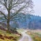 Lowland - Rebild National Park. A dirt road through lowland heath landscape Rebild National Park, Jutland, Denmark.