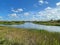 Loxahatchee Slough Natural Area swamp landscape