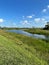 Loxahatchee Slough Natural Area swamp landscape