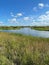 Loxahatchee Slough Natural Area swamp landscape