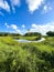 Loxahatchee Slough Natural Area swamp landscape