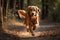 A loyal and affectionate Golden Retriever playing fetch, showing off its loyal and affectionate nature. Generative AI