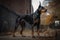 A loyal and protective Doberman Pinscher standing guard, showing off its loyal and protective nature. Generative AI