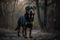 A loyal and protective Rottweiler standing guard, showing off its loyal and protective nature. Generative AI