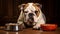 Loyal White English Bulldog Puppy Indoors generated by AI tool