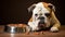 Loyal White English Bulldog Puppy Indoors generated by AI tool