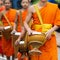 Luang Prabang, Laos - May 2019: Laotian Buddhist monks walking along the street during alms giving ceremony