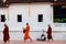 Luang Prabang, Laos - Traditional Alms giving ceremony